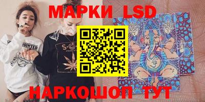 крисы Моздок