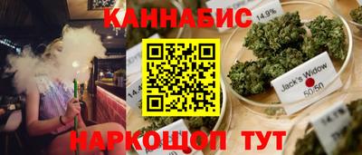крисы Моздок