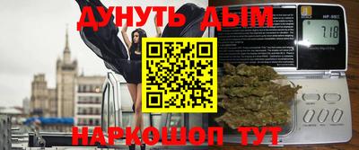 крисы Моздок