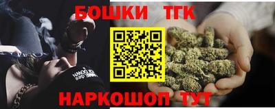крисы Моздок