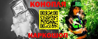 крисы Моздок
