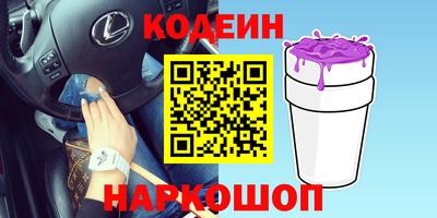 крисы Моздок