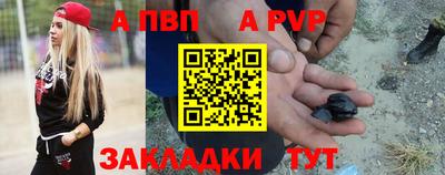 крисы Моздок
